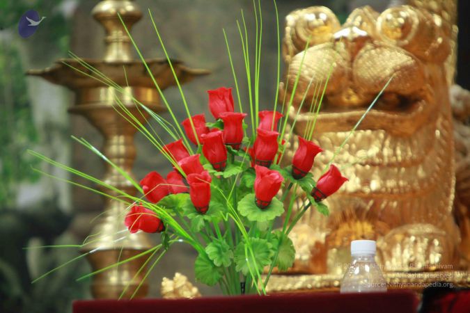 20121009 Photo 1155 1IsPBTbuSQxpkTJULer1b2yN2vtSINjv9.JPG