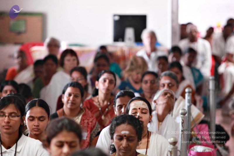 File:20121010 Photo 1064 1llx8fPkPDc2P5ZPNH4PLhhonE qhg18g.JPG