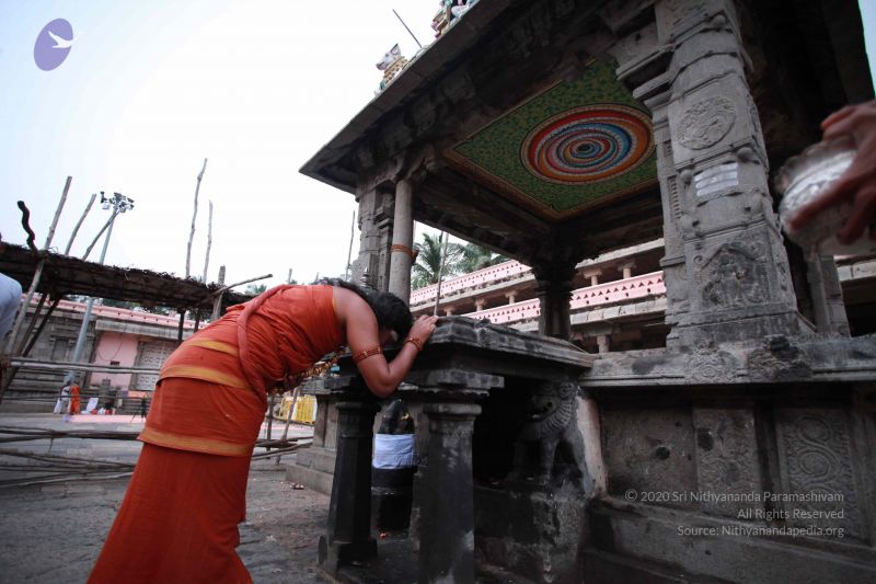 File:20121012 Photo 1049 1AMqEe9Mt43gESIAwEpCcERHXOzatjVCy.JPG