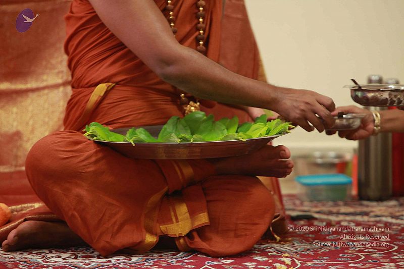 File:20121012 Photo 1241 1X3O5Ldc1mn6DNsUn7dsyg0NmUuAta8bn.JPG