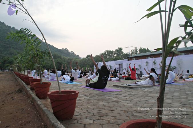 20121013 Photo 1009 1t9W26HWK-5Oeqqe3MFOdbs2YUBdBdWxk.JPG