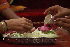 20121013 Photo 1074 1YaGhQKkekws1rJDlpJltvfRPoAFSF4Zf.JPG