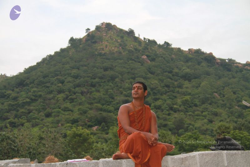 File:20121017 Photo 1197 1Q3dD3lmfYYMmFPwlnG8Yf4OYFye2mN9v.JPG