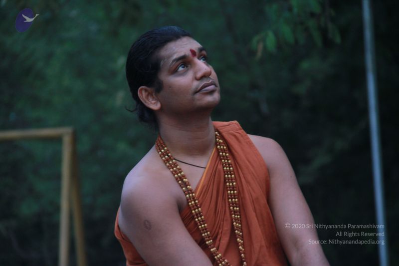 File:20121017 Photo 1237 1oP7iBKJDIYAM9w6rI8p pOaQhsL3Usjn.JPG