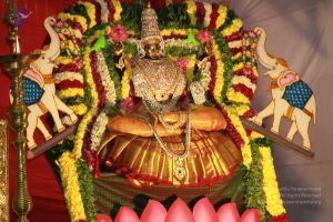 20121018 Photo 1029 1f4bzof53wSKYynHHkn3b36fOKH48Xh5E.JPG