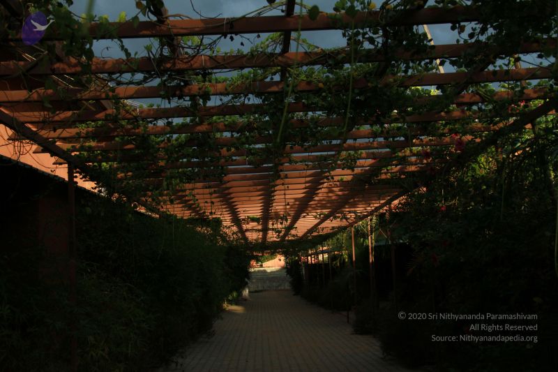 File:20121021 Photo 1026 1892UMmCfe5h3GGFAJpasKocxbw7dqj7l.JPG