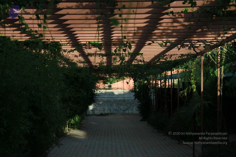 File:20121021 Photo 1027 1pHAWze13EisGhpW1xo0 gQMvNWH3LXnw.JPG