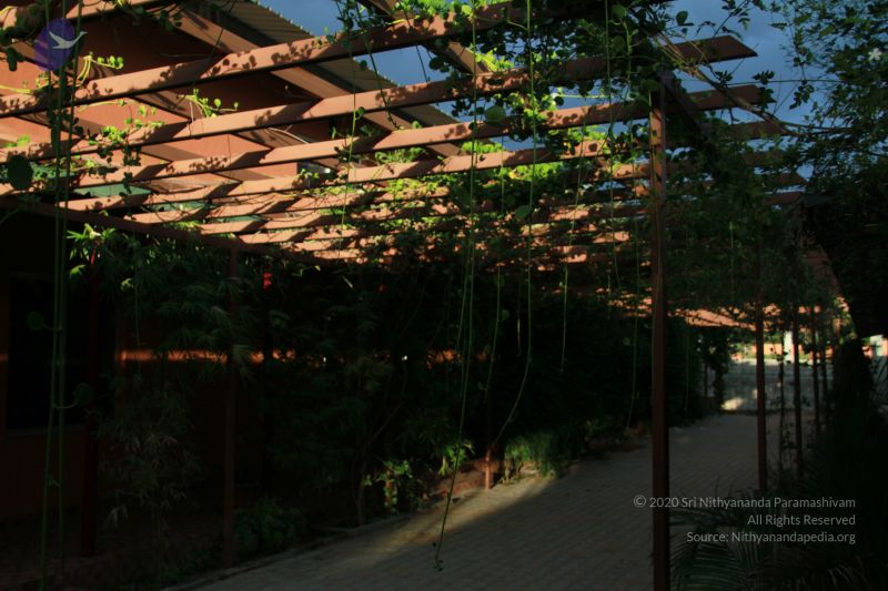 File:20121021 Photo 1028 1vDi4fo0vU6VwG4A7kYXnw5LHH9SE7Qb8.JPG