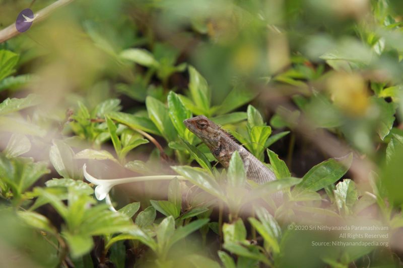 File:20121022 Photo 1039 10-6l8wkez1hJxMCxmyZqVeN9w2qi854q.JPG