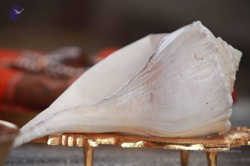 File:20121022 Photo 1054 124eDKlyYWCgr25TgeK3LejD 3h7fGkQv.JPG