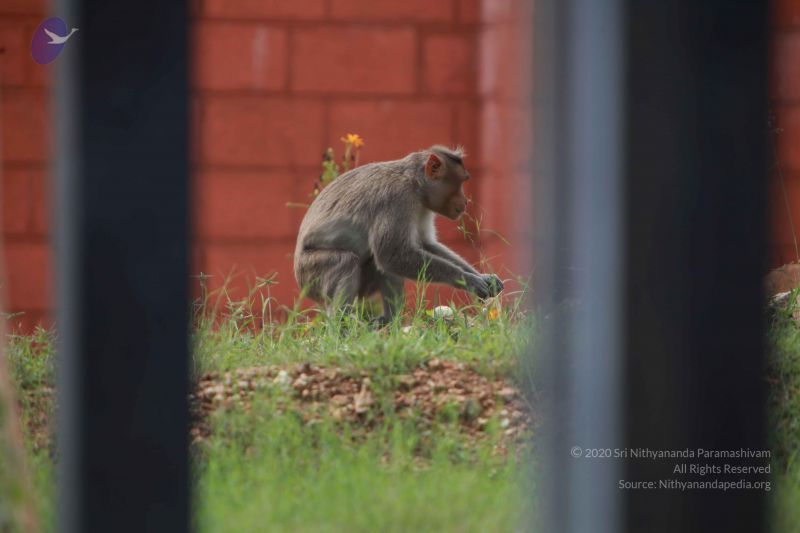 File:20121022 Photo 1055 10IgrF9kj5dYSoiFy y3qfY-TS0K6n0bC.JPG