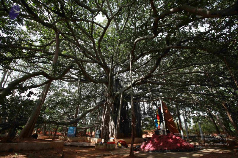 File:20121022 Photo 1062 1b0SiMzc-iVl7l5fxrb-RTR2-g4Hsqd0e.JPG