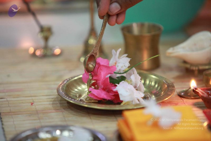 File:20121023 Photo 1036 1HrDsWwfyok9hZukulwsGTp9JtLPaR3Jw.JPG