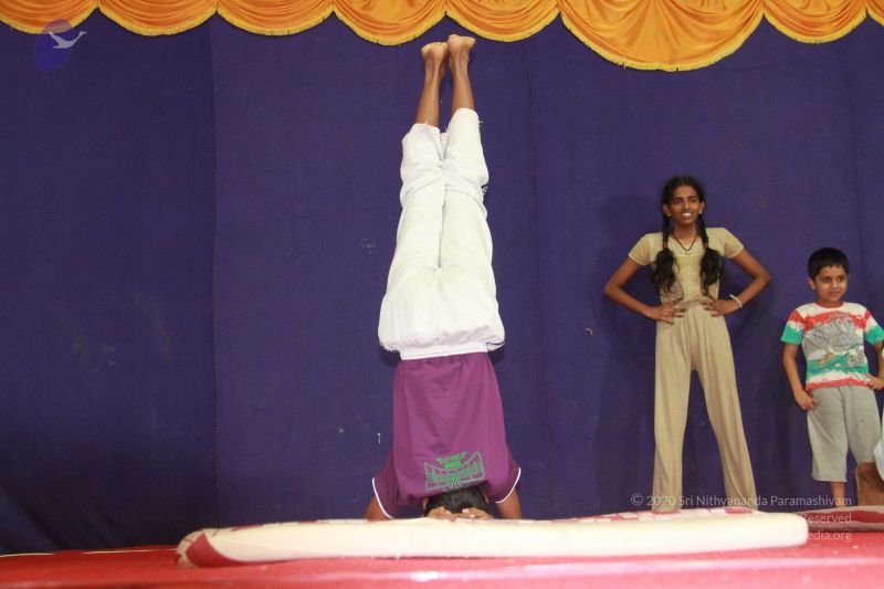 File:20121023 Photo 1143 1N85KqQLDZf18ILMI6vvlzddSOp-6cTkB.JPG