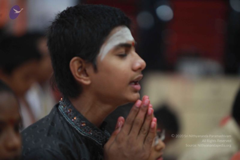 File:20121024 Photo 1005 1H6jWFpkgNqB q24iSOjBYXBtIp1yEmev.JPG