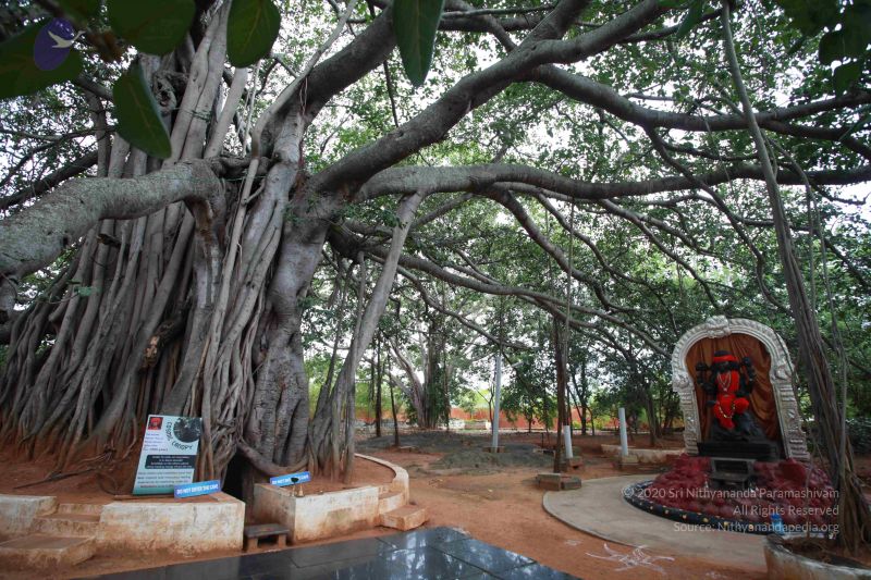 File:20121024 Photo 1025 1SHDbxB8E1qJ6X0xWijek BfgkhmtRPJq.JPG