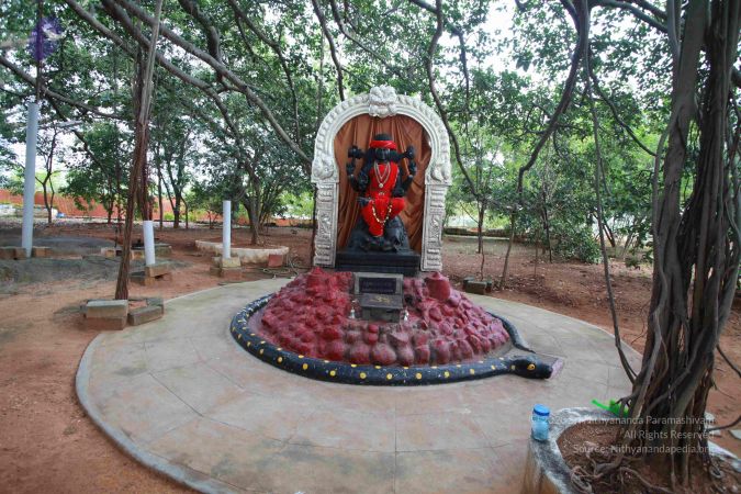 20121024 Photo 1032 1gBouuqtV26KPl4mEziNwG-ZhWQL2Ch4o.JPG