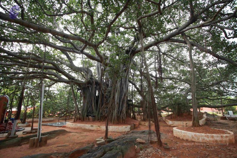 File:20121024 Photo 1038 1Y1C7qxRMoUGU3awywdf2YkM8A7aHp0Ne.JPG