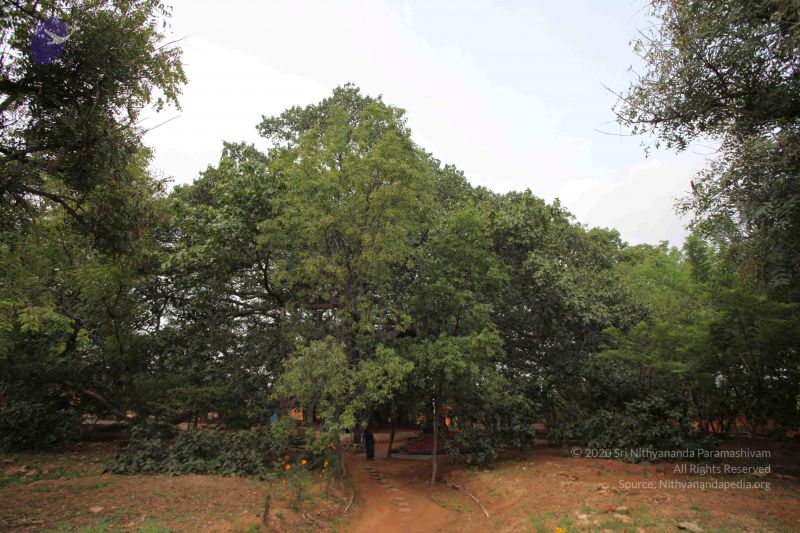 File:20121024 Photo 1044 15YYynV1uXWw9L0EdK5h PP7GQIiU E0U.JPG