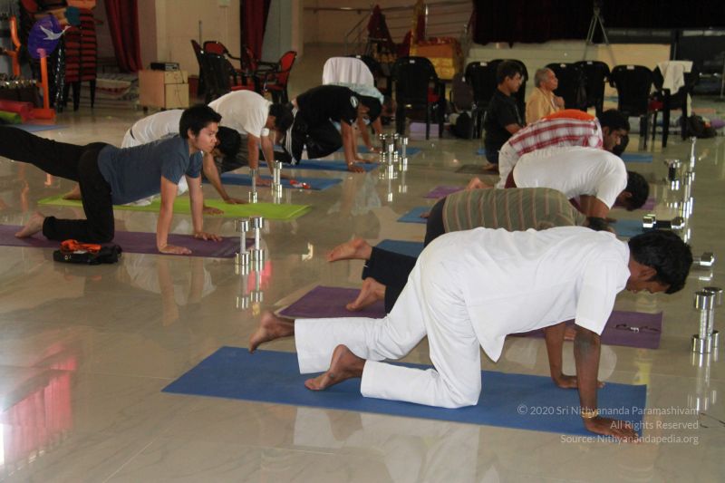 File:20121024 Photo 1084 1cwsjJD3uoyvi OXAbeEjspDS68yLSb7Z.JPG