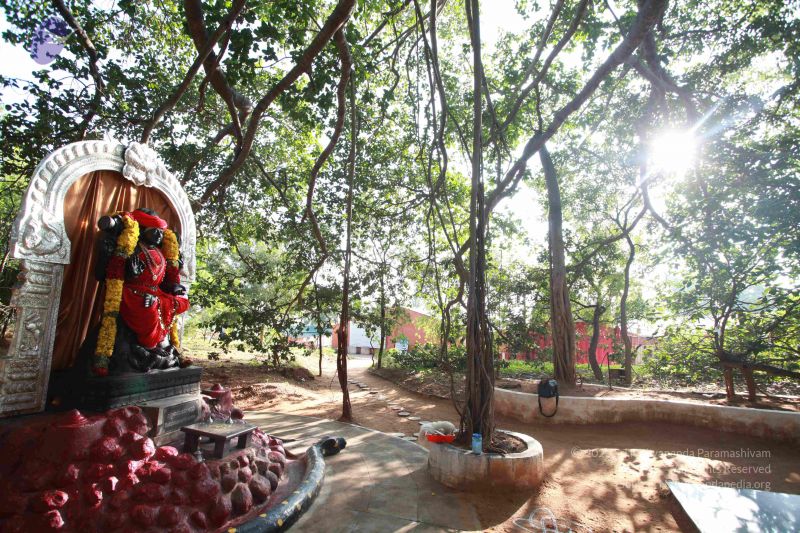 File:20121025 Photo 1063 1pgURyghyEOZpccQll3WReXyfUwxkCRFS.JPG