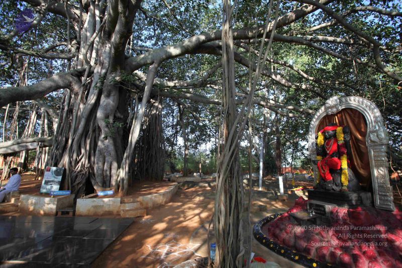 File:20121025 Photo 1065 1ukaOprbexQ6 lFP9QdKHPfpJBC7O7kv6.JPG