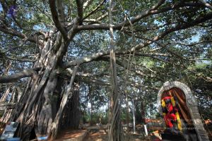 20121025 Photo 1066 1qQMRCIfolIkjkbuOp28mSj58m9JZHq-s.JPG