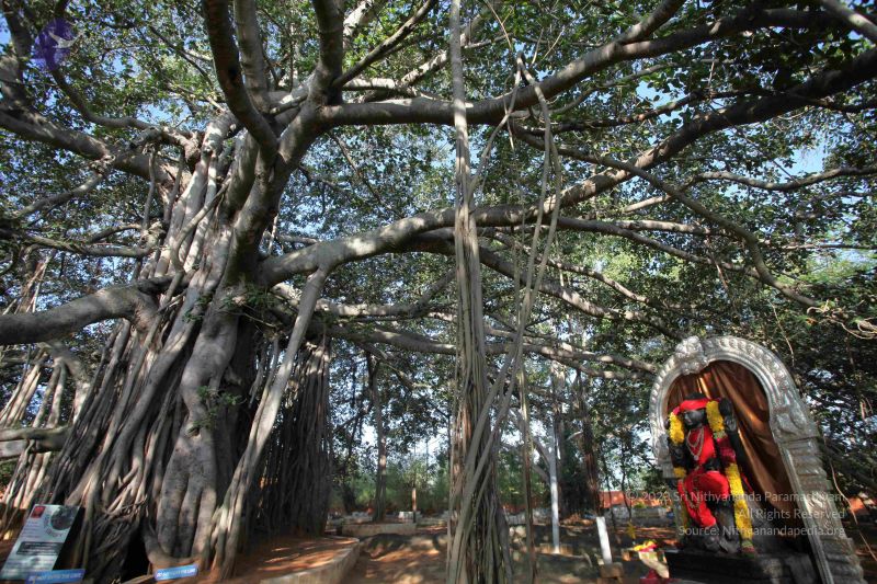 File:20121025 Photo 1066 1qQMRCIfolIkjkbuOp28mSj58m9JZHq-s.JPG