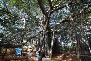 20121025 Photo 1067 1CVS5ftq2yfJAq8NYXMOzCLbxBJBCq9sh.JPG