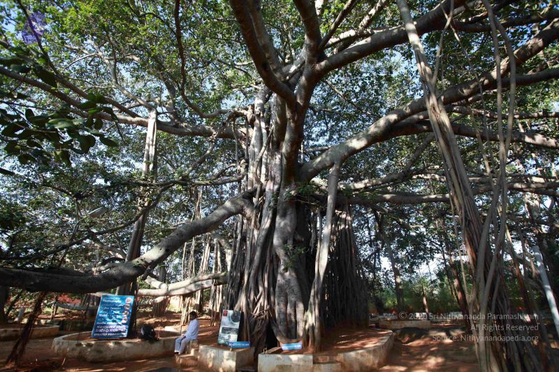 File:20121025 Photo 1067 1CVS5ftq2yfJAq8NYXMOzCLbxBJBCq9sh.JPG