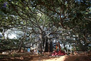 20121025 Photo 1068 1q7MCnsFjAVhxQn11~izSnE96GdZclZs.JPG