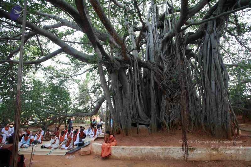 File:20121025 Photo 1091 1B4JvXSGF1SrTyIzv4IrXYc2Zw0QWB1Y5.JPG