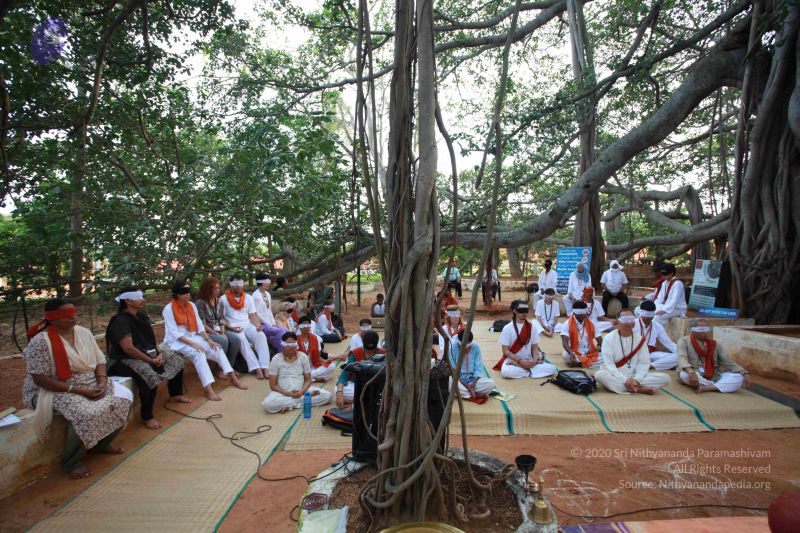 File:20121025 Photo 1100 1Iv-KOQQ0LO3gziCjL OS18S7Bd2kT4bW.JPG