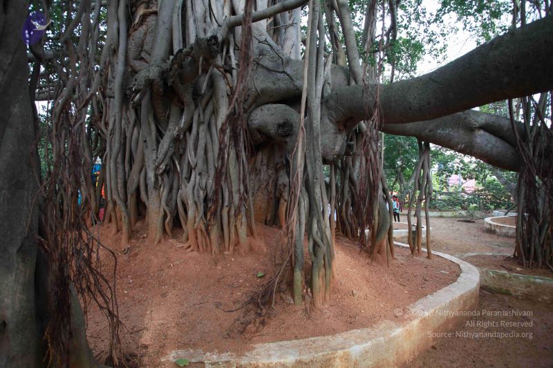 File:20121025 Photo 1104 1U1Y2aMiFQB6CmhdME03OwtPw7sn-HmdQ.JPG