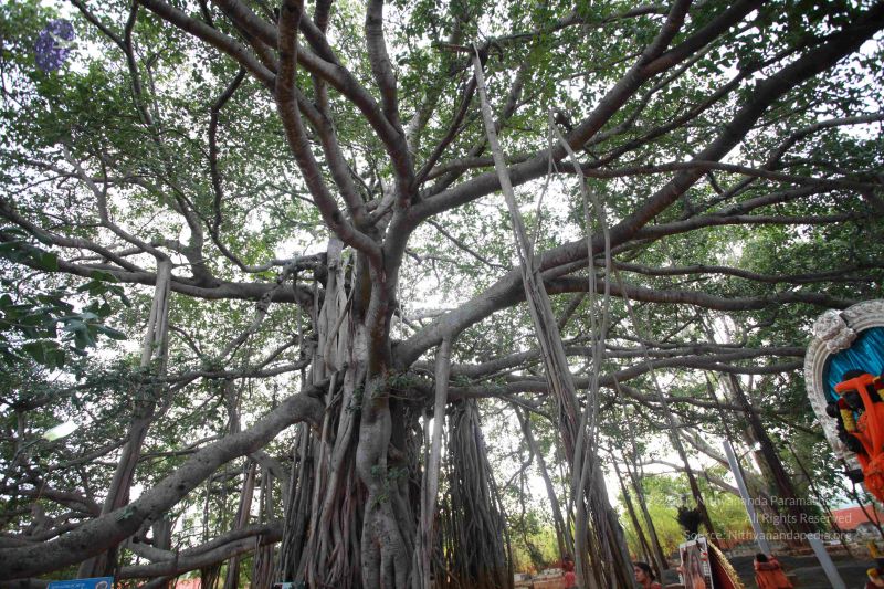 File:20121025 Photo 1107 1Yq 80zMo0kKRc3ATcuO38HpENxMsiUM8.JPG