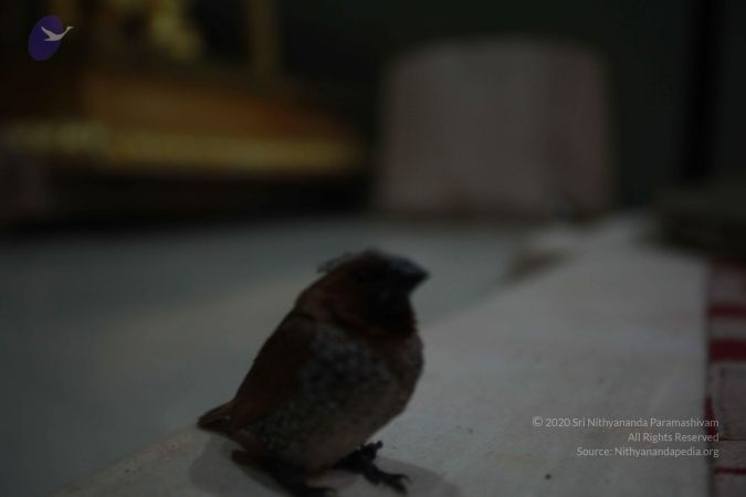 20121027 Photo 1101 1RD6LHTBTDa9hvbVMh3xO fHvvqt0ZgaP.JPG