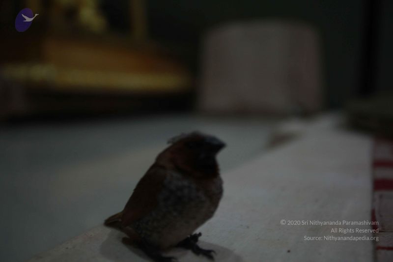 File:20121027 Photo 1101 1RD6LHTBTDa9hvbVMh3xO fHvvqt0ZgaP.JPG