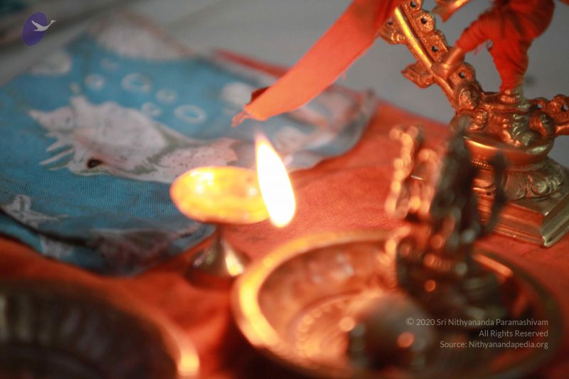 File:20121106 Photo 1007 1K-Aa-rS1sOmRS6498oitvz85-05fg Cw.JPG