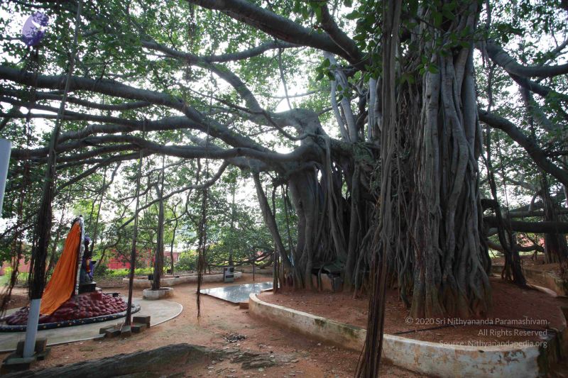 File:20121106 Photo 1054 1kJn6stDNdZwcPT6iaMZHVy9ndYniN2jE.JPG