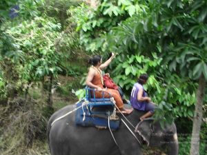 20121129 Photo 1009 1DNllUTxPCU3Rw1hjLCWE6M4IJ5kCsjUa.JPG