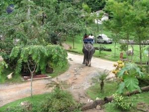 20121129 Photo 1010 1Nbm13zeelZv6QP3pn7j2zJG2AnQuFt H.JPG