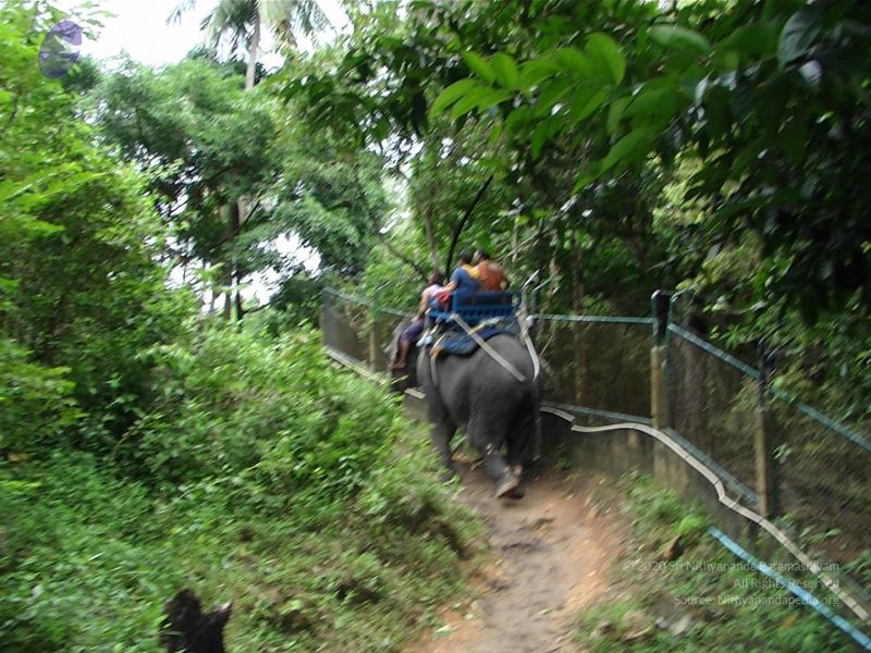 File:20121129 Photo 1016 1CLhp76p9pUbEHwrJKExyLnckK70evC46.JPG