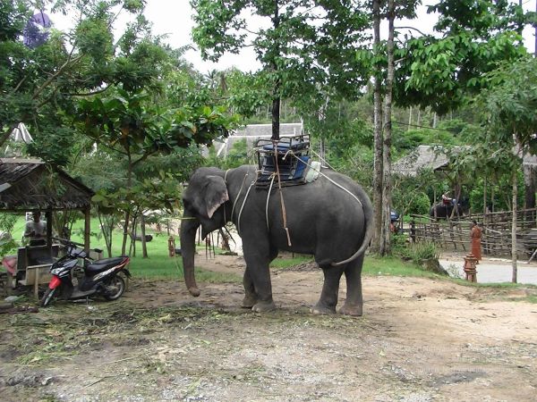 20121129 Photo 1020 19l440ww4Youo02Z1d59eUUHIPDTLefZ8.JPG