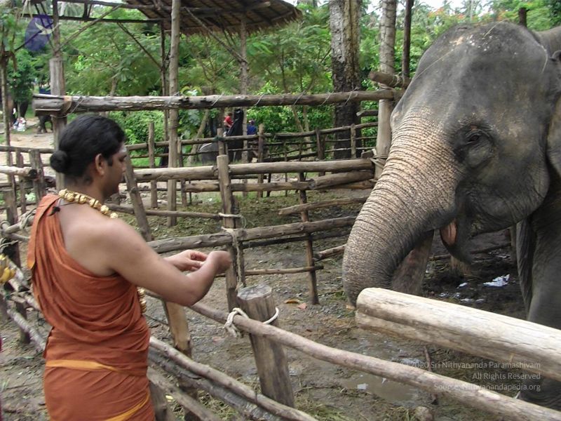 File:20121129 Photo 1022 1D UgkYsSTnxPBHRqlRDseTwHzTaZQASC.JPG