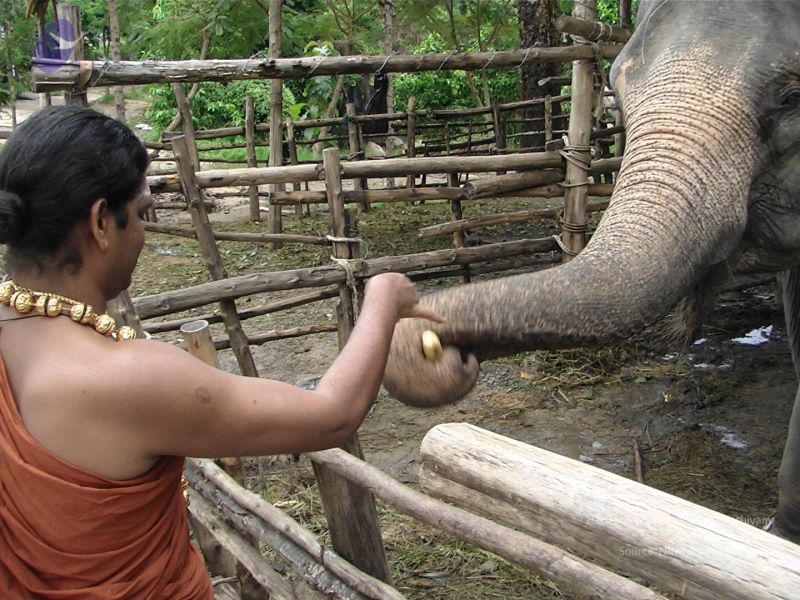 File:20121129 Photo 1025 1UtKQU3-qp02ytRz4WoQESFiPBebYvz4C.JPG