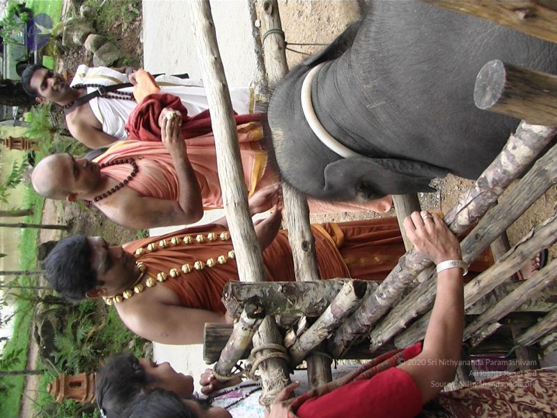 File:20121129 Photo 1034 1n 6pHLmvIVxG-BrAuqbH uI9eVikO5ED.JPG