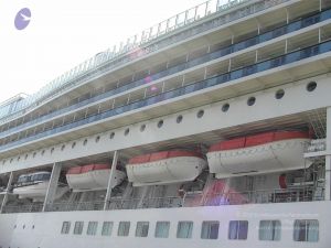 20121203 Photo 1006 1u8eq89eskUZPTwvimioM3FZYtsysEsn8.JPG