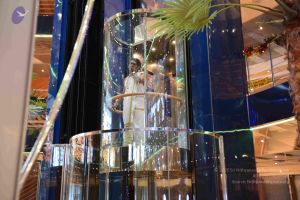 20121210 Photo 1255 1Y1EjBknkAgNvu4zduyvWItoBANMM28kt.JPG