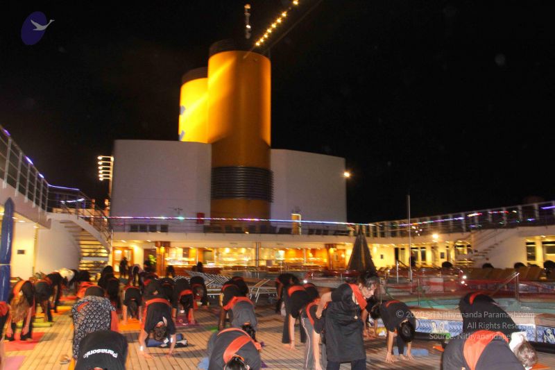 File:20121214 Photo 1001 1p4ZqlsRiT0QViVVtPIJJkrKOA22HWu5O.JPG