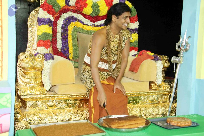 File:20130101IMG 0128 CMP WM0010011.jpg